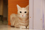 DongDong-555