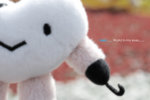 CKL_3067