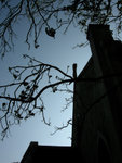 DSCN2159