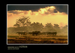 Somewhere out of Africa