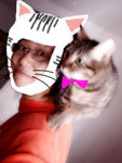 Cat & pan 
