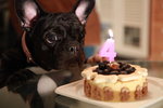 IMG_0010