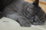 ���ѤU���D��3