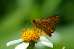 DSC_3057