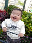IMG_1613 copy