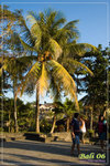 DSC_7756 copy copy