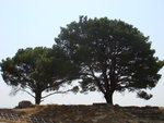 DSC00577