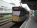 DSCN6043