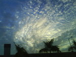 DSC00590