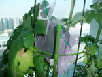 DSCF0399