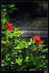 IMG_2540
