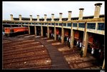 IMG_3640