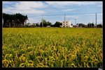 IMG_3862