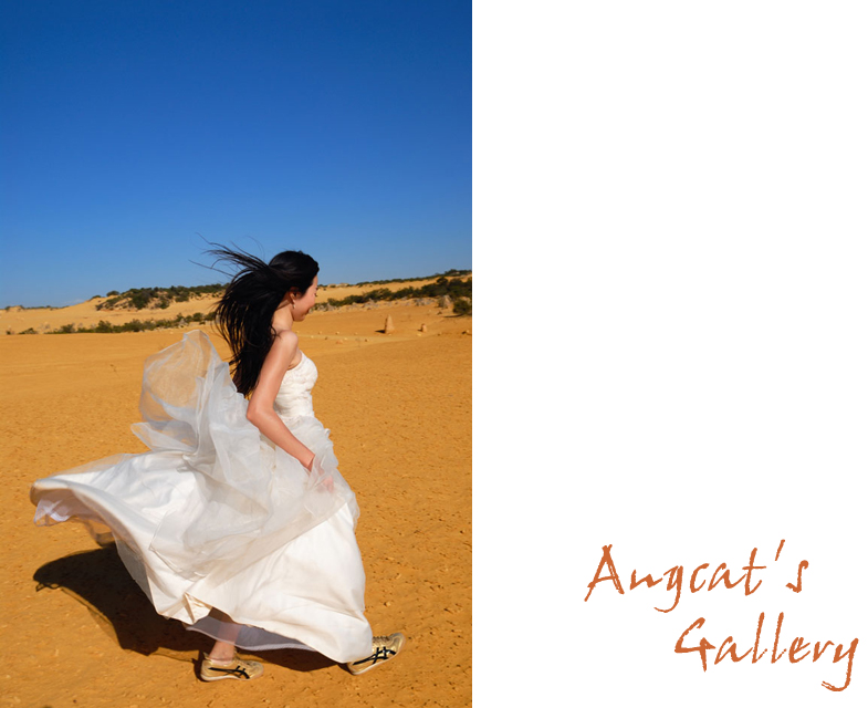 http://images4.fotop.net/albums2/angcat/Me/DSC_4034_Web_albumcover.jpg