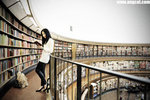 BFC_2553-www