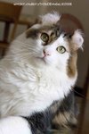 IMG_5056