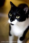 IMG_6577