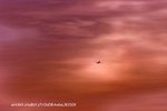 IMG_0724 copy