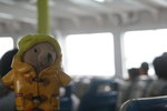 IMG_7554