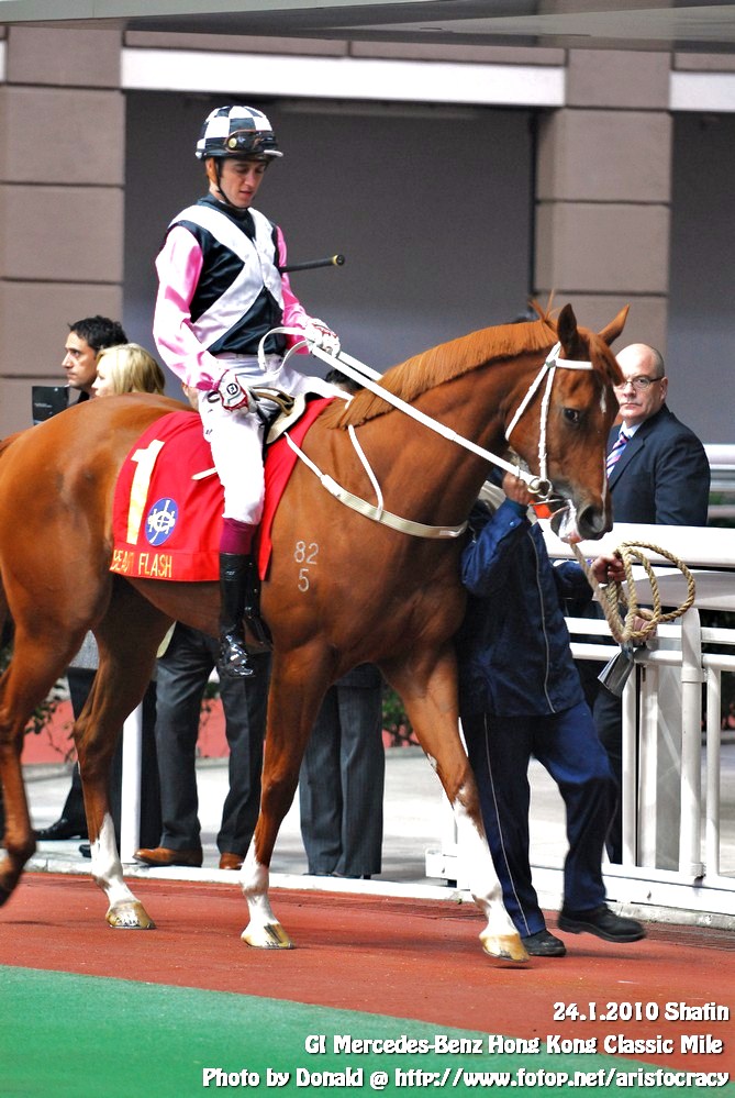 Road to 2010 HK Derby
