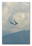IMG_0355 copy-072008