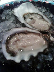 

Oysters