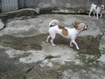 momo�u�����A