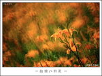 _D3_1412dppsmall