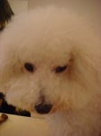 DSC01438