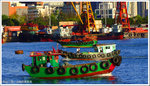 DSCF1941