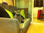 10.12.2011 Home (11)