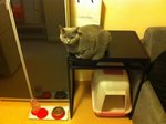 10.12.2011 Home (3)