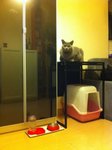10.12.2011 Home (5)