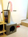 27.9.2009 Home (2)
