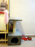 27.9.2009 Home (3)