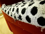 30.9.2009 Home (1)