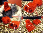 25.1.2010 Knitting (4)