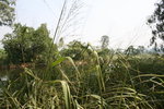 IMG_0058
