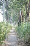 IMG_0059
