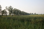 IMG_0129