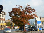 P1100254