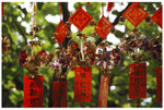 macau2_05