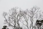 IMG_6789