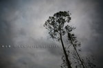 IMG_9880_resize
