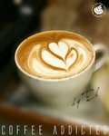 LATTE-800