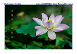 FY0_4405