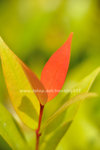 FY0_1191