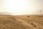 20090101_paknai_5