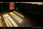 StarFerry14