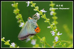 ��˽�080713_1